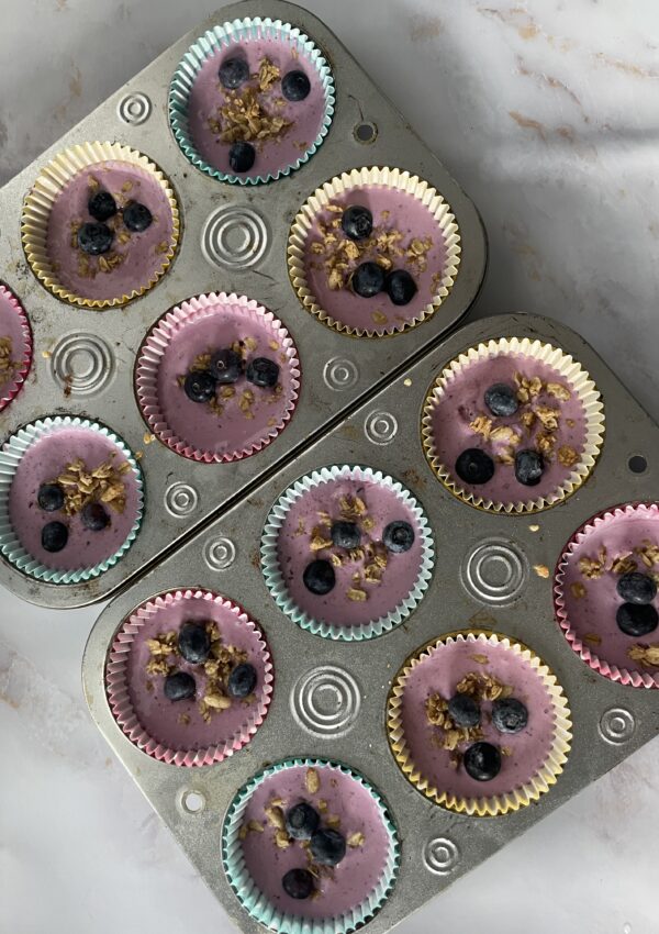 Frozen Yogurt Bites with Berries and Granola: Easy Breakfast for Toddlers!